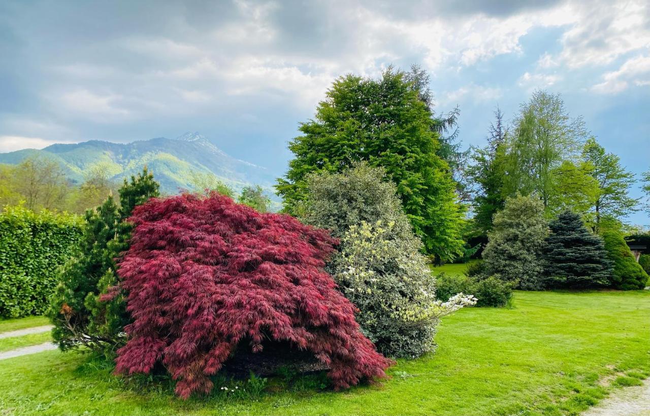 Villa Giulia - Marguareis Peveragno Buitenkant foto